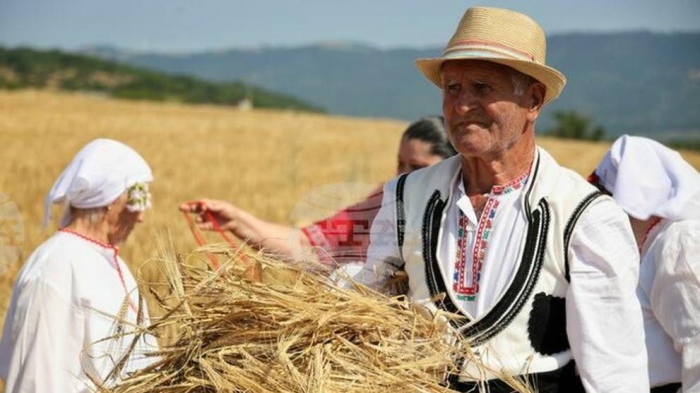 Старт на жътвената кампания в Бургаско