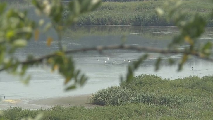 Критично ниското ниво на водата в "Сребърна" застрашава редки видове