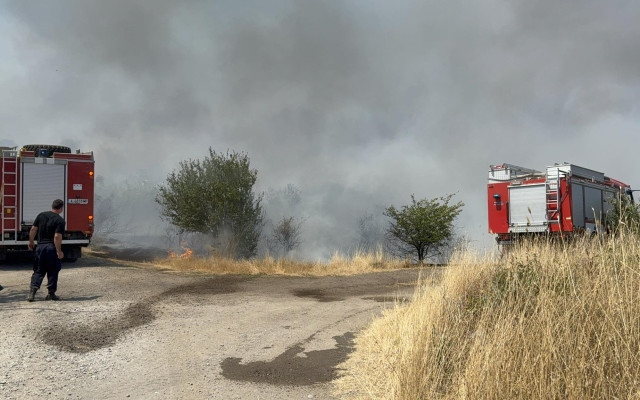 Пожар изпепели 30 къщи във вилна зона край Бургас, задействаха BG-ALERT