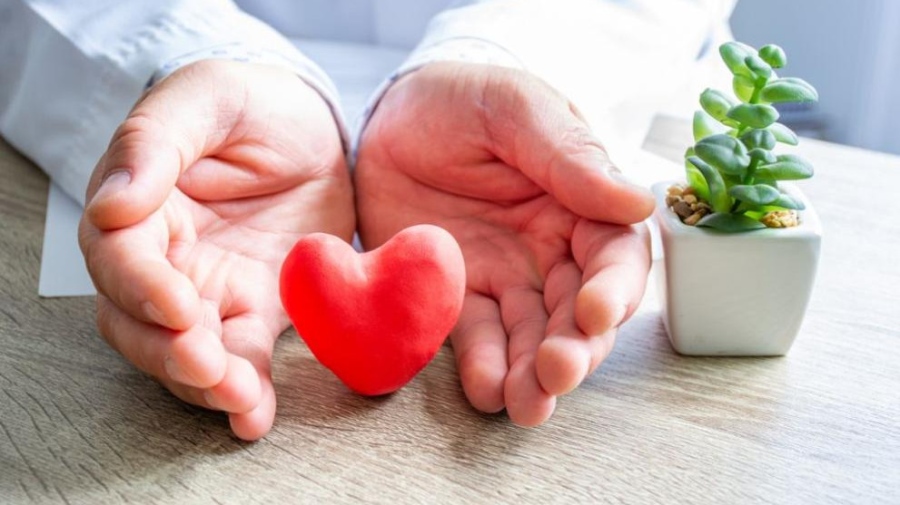 Изписват от ИСУЛ първото дете с алогенна трансплантация