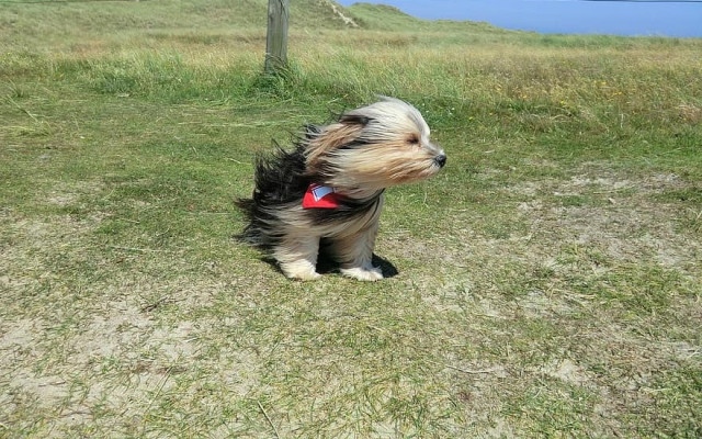 Слънчево, но ветровито,  морето  с вълнение 2-3 бала