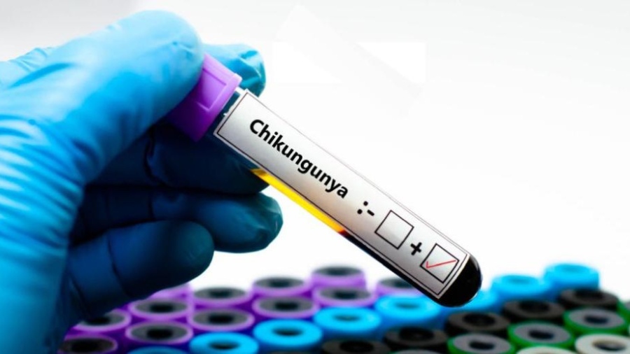 Първи случай на Чикунгуня в Русия