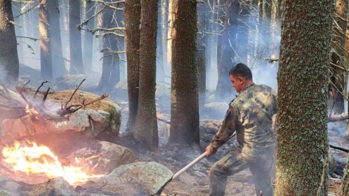 Тежка борба с огъня в Рила, новите огнища са атакувани от три страни