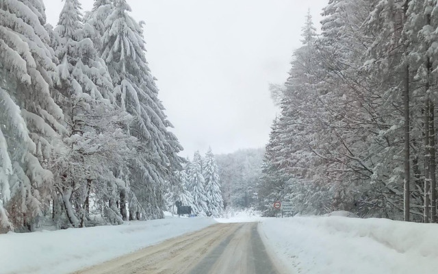 Първа прогноза за зимата: Ледени сибирски вълни, но без сериозни бури