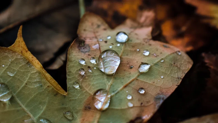 С какво време посрещаме октомври