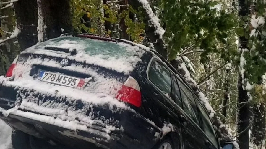 Тежък сняг покри Витоша! Важно предупреждение
