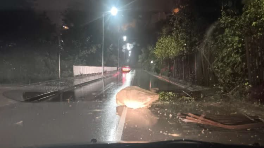 Падащи камъни от крепостта „Царевец“ удариха такси