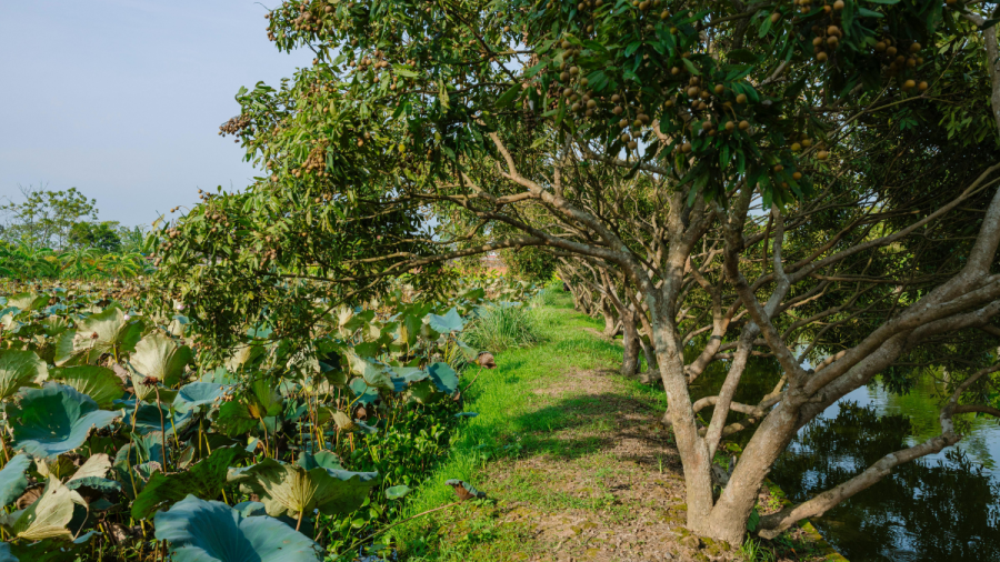 Овощар: Годината е нулева