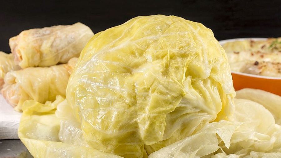 Пробиотиците: Здравословен хит или пари на вятъра