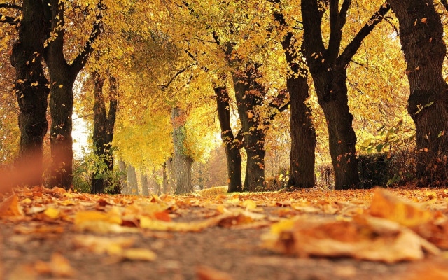 Последен ден от сиромашкото лято, довечера се задават дъждове