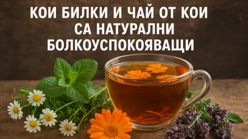 Кои билки и чайове от билки са натурални болкоуспокояващи