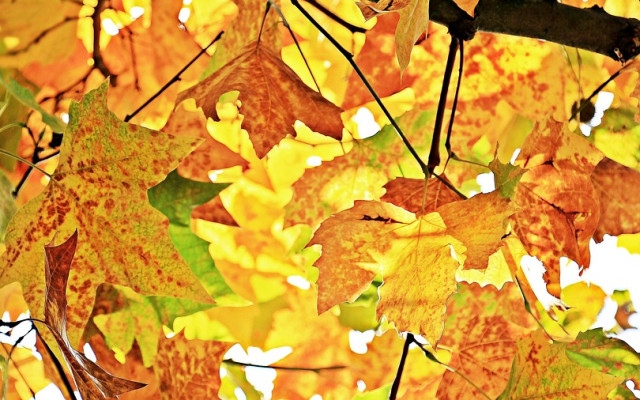 НИМХ с прогноза за времето през уикенда