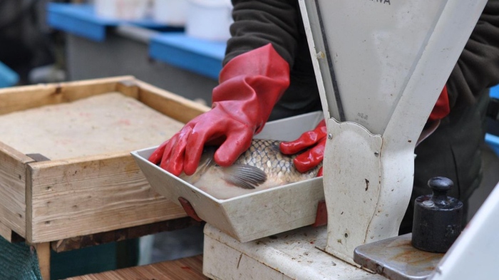 Засилени проверки за Никулден започват инспектори на ИАРА