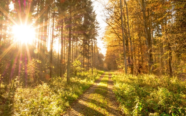 Слънчева и топла за сезона събота в цялата страна