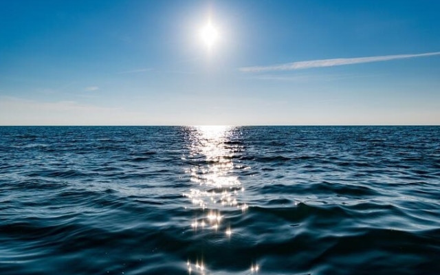 Черно море се задушава, мъртвите зони се издигат към повърхността