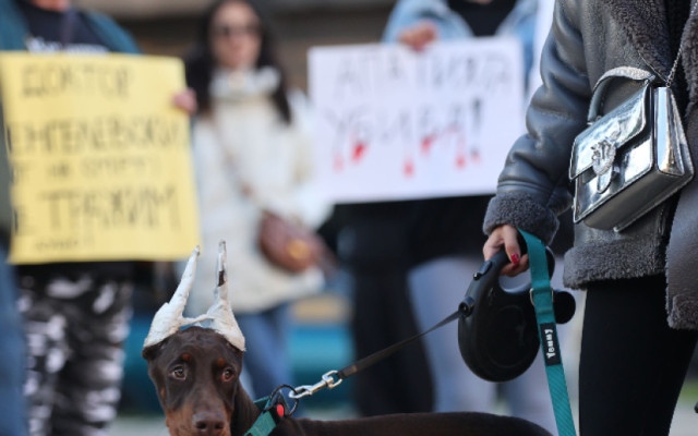 Протести срещу насилието над животни в София и Варна
