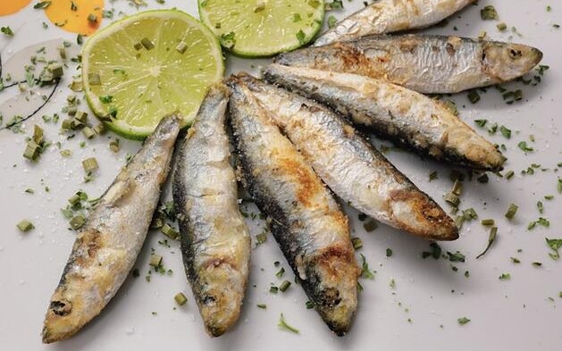 Сафридът, чернокопът и паламудът изчезнаха от Черно море