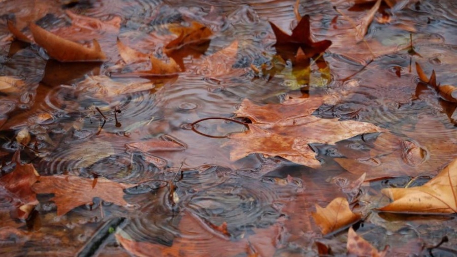 Обявиха жълт код в 18 области на страната