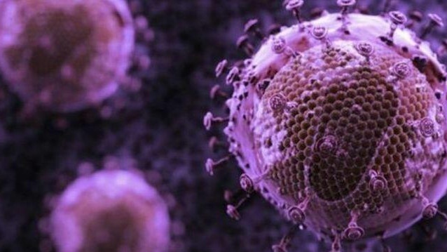 Какво "обичат" вирусите и как благодарение на тях, живеем