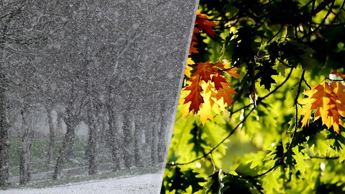 Бурен вятър и дъжд връхлитат страната в събота