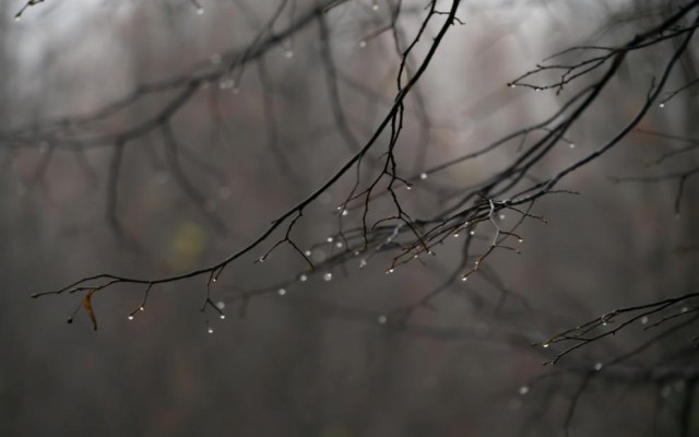 Дъжд, сняг, дори гръмотевици в неделя