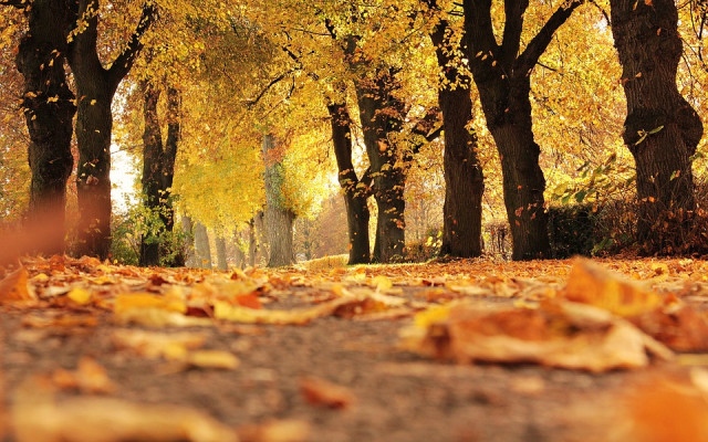 Очаква ни студена неделя, до 10 градуса днес