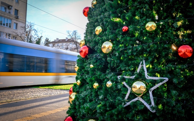Коледната елха в София грейва на 2 декември