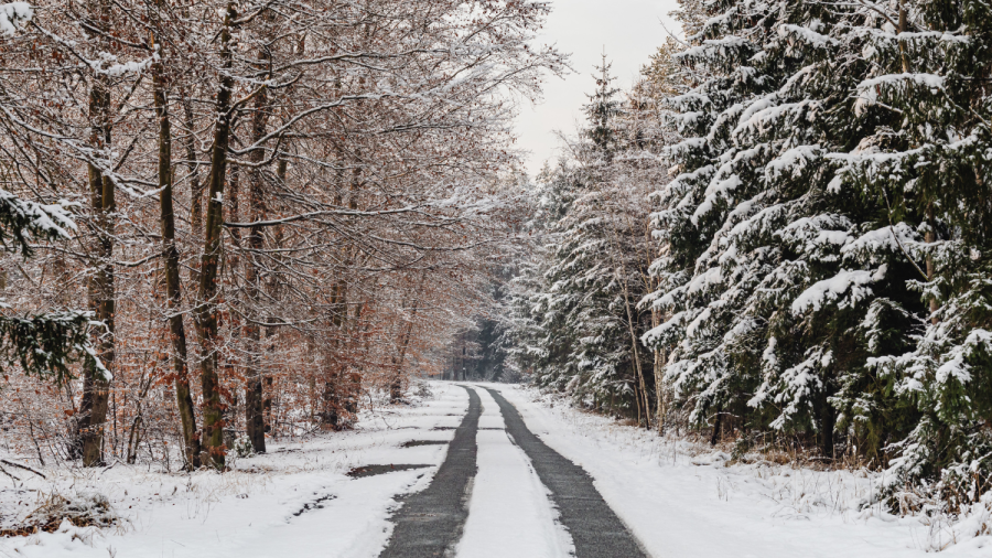 Синоптикът Петър Янков: До дни ще падне сняг, София ще е най-студената столица на Балканите