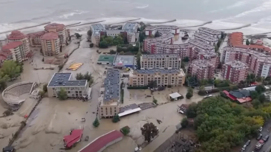 Истински шок с имотите на "Елените"