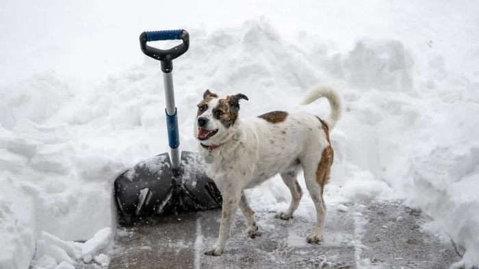 Климатологът Симеон Матев: Първата половина на януари ще е със зимни условия