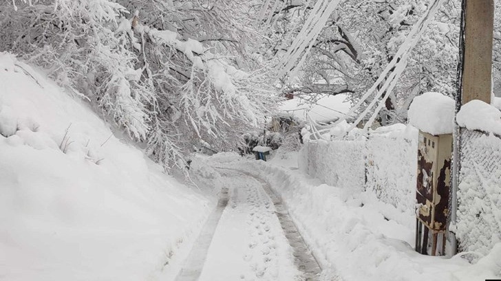 Коледният сняг прекъсна тока в десетки населени места у нас
