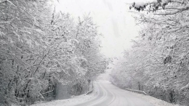 Временно е затворен Проходът на Републиката заради катастрофирал камион