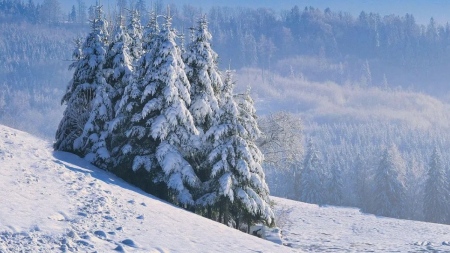 При минус 8° спасиха двама премръзнали туристи под Черни връх