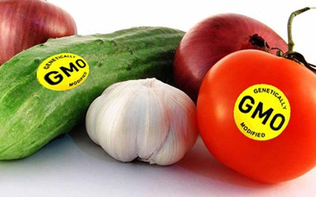 Ще се храним ли с ГМО храни, за които няма и да знаем?