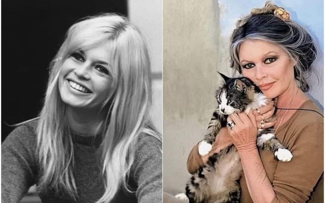 "Пиу-пиу": Последните думи на Брижит Бардо към съпруга й миг преди да издъхне