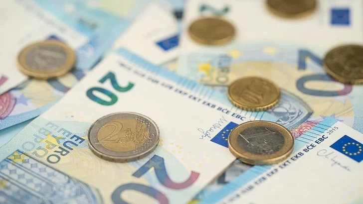 БАН обяви война на думата „евра“