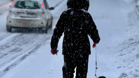 Зимна буря сковава Европа: Сняг, лед и транспортен хаос