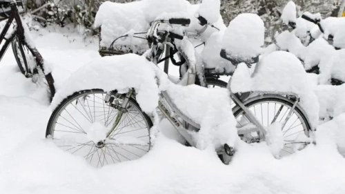 Германия се готви за необичайно студено време: Бурята "Ели" носи значителни снеговалежи