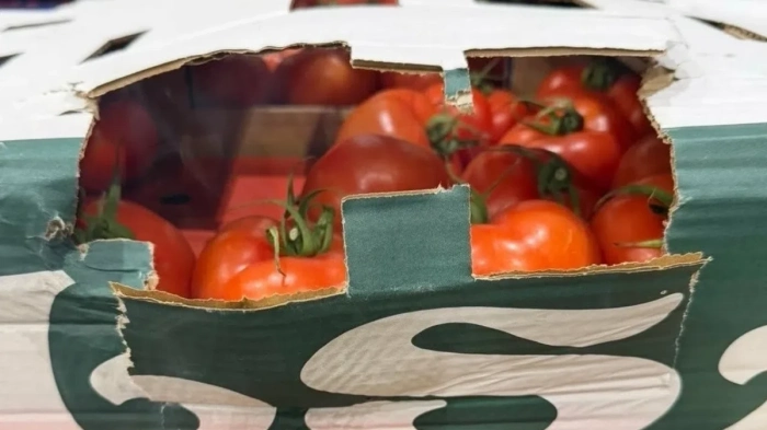 Недекларирани над 14 тона зеленчуци установиха митничари