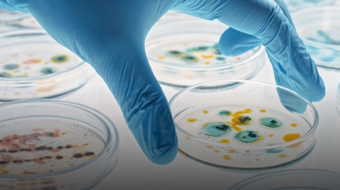 "Особено опасна инфекция се завърна у нас след 29 години": Проф. Кантарджиев съветва да мием буркани и обувки