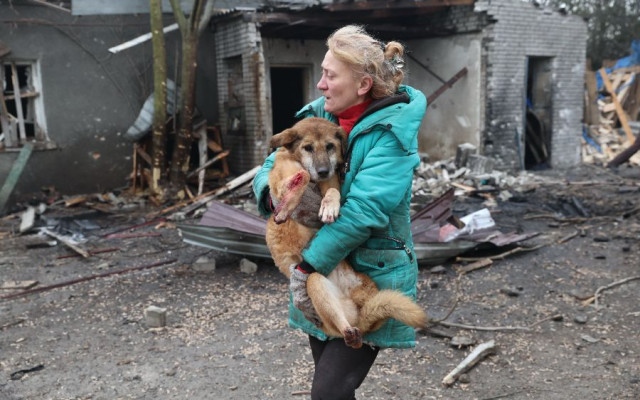 Руски бомбардировки поразиха приют за кучета в Украйна