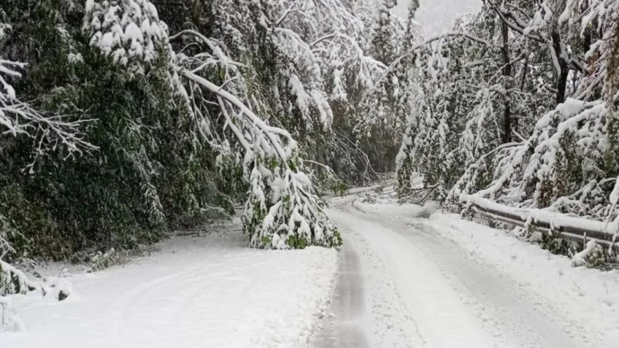 Meteo Balkans: Обстановката ще се влошава, очаква се до 15 см снежна покривка и заледявания