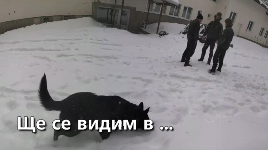 Убийства, самоубийства или религиозни практики: Случаят „Петрохан“ раздели обществото