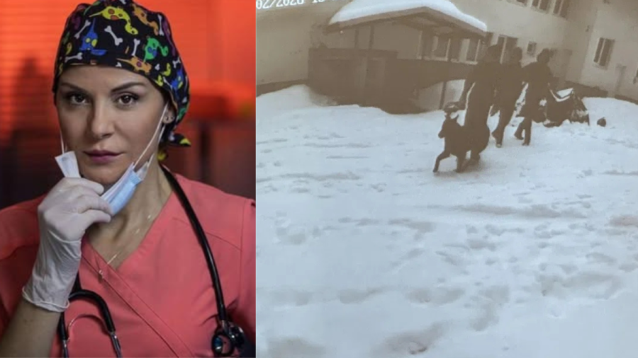 Наша актриса: Номинирам видеата от "Петрохан" за Оскари!