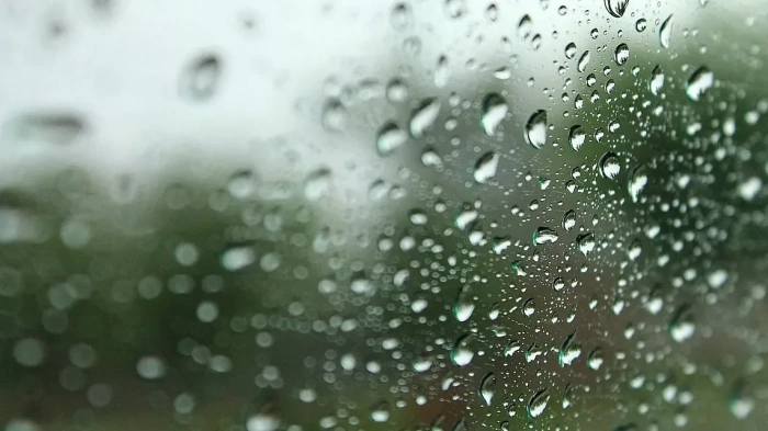 Обявиха жълт код в Южна България. В неделя идва студът, а от сряда...