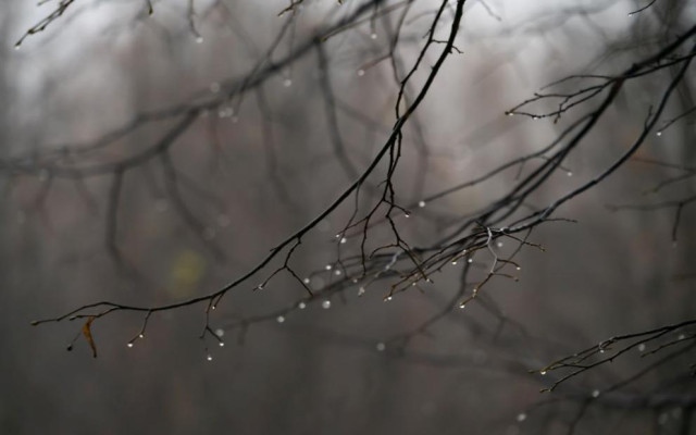 Оранжев и жълт код за интензивни валежи и силен вятър в неделя