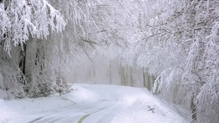 Смолянските села Мугла и Киселчово трети ден са в бедствено положение