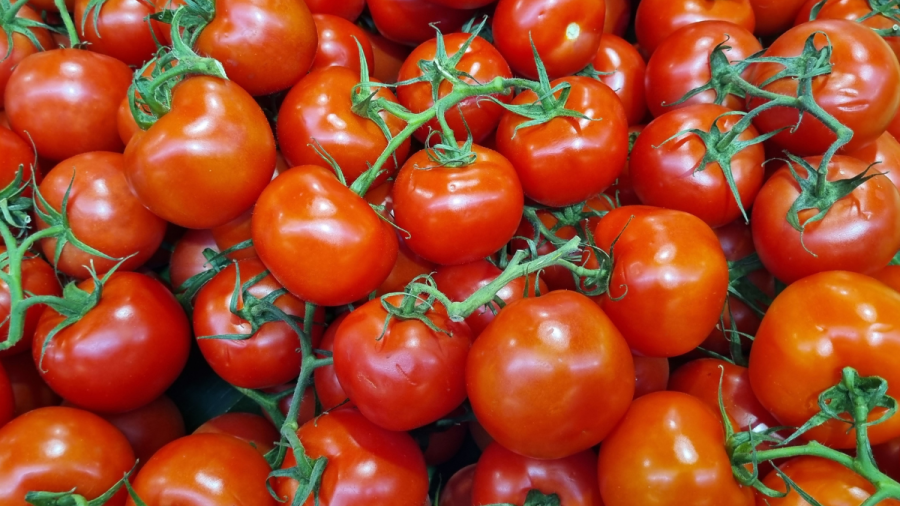 Създадоха ГМО домати с аромат на пуканки