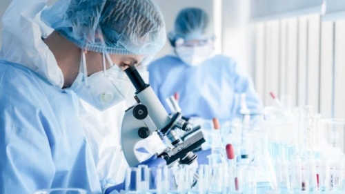 СЗО следи сигнал от Испания за случай на свински грип, предаден от човек на човек