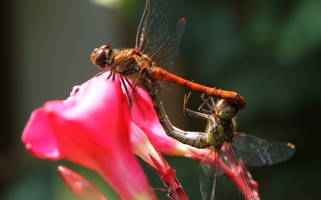 Слънце и пролетно време почти в цялата страна
